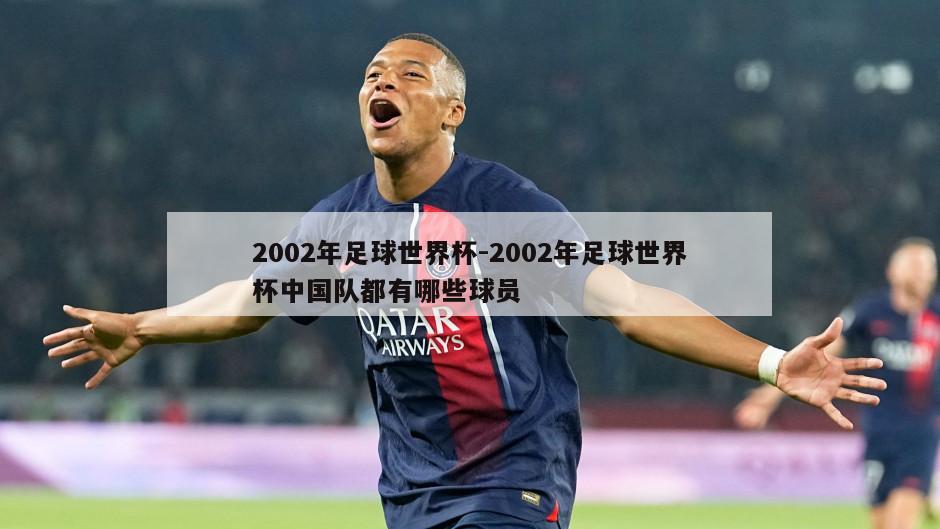 2002年足球世界杯-2002年足球世界杯中国队都有哪些球员