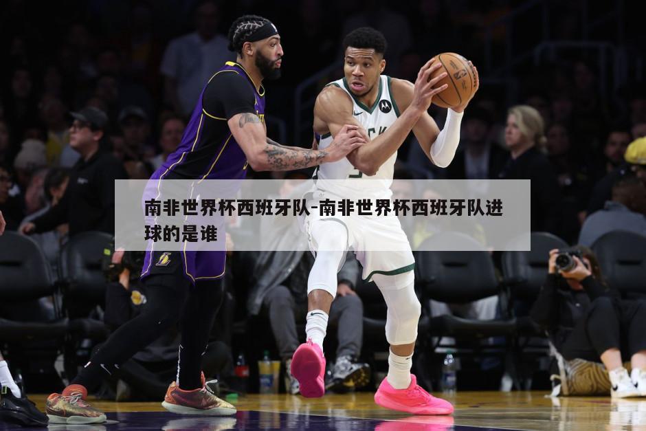 南非世界杯西班牙队-南非世界杯西班牙队进球的是谁