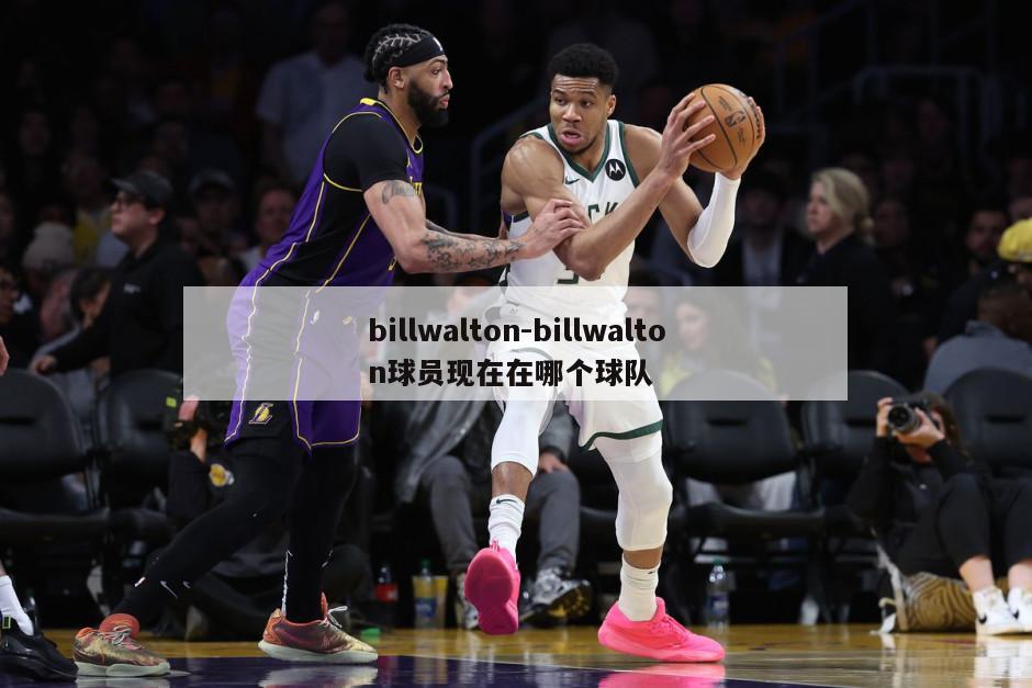 billwalton-billwalton球员现在在哪个球队