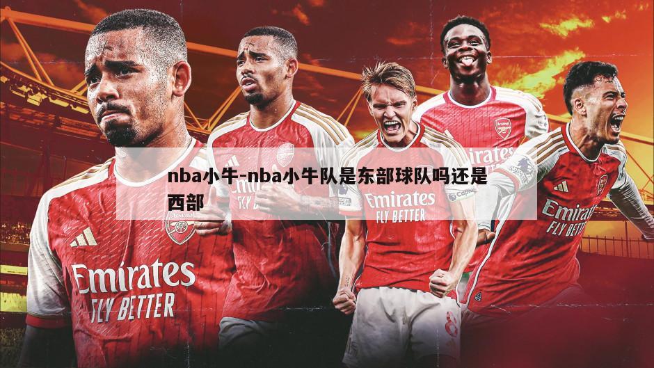 nba小牛-nba小牛队是东部球队吗还是西部