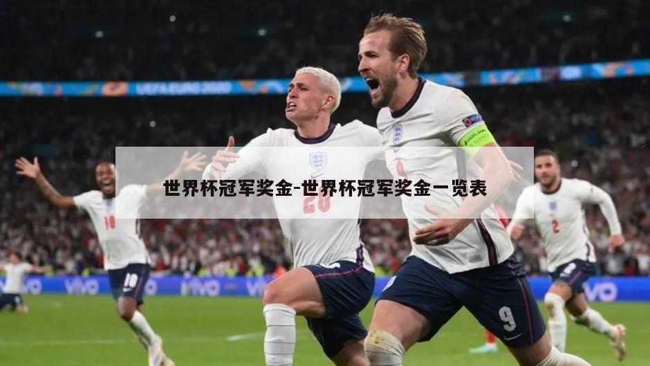 世界杯冠军奖金-世界杯冠军奖金一览表