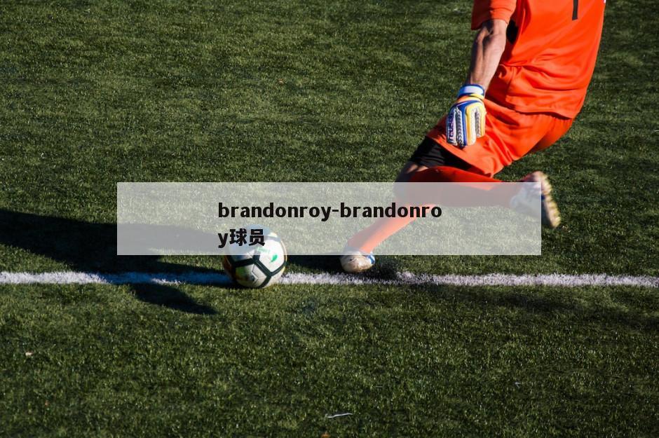 brandonroy-brandonroy球员