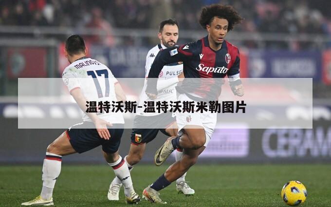 温特沃斯-温特沃斯米勒图片