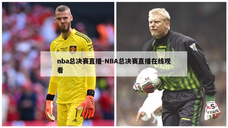 nba总决赛直播-NBA总决赛直播在线观看