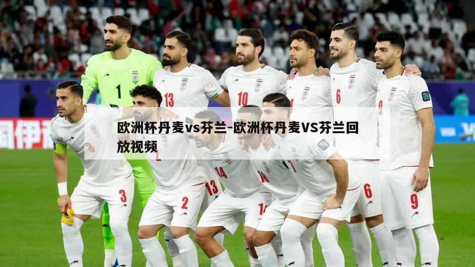 欧洲杯丹麦vs芬兰-欧洲杯丹麦VS芬兰回放视频