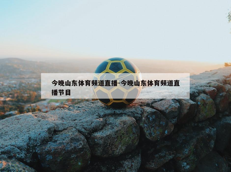 今晚山东体育频道直播-今晚山东体育频道直播节目