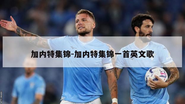 加内特集锦-加内特集锦一首英文歌