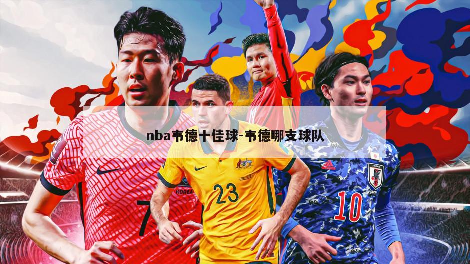 nba韦德十佳球-韦德哪支球队
