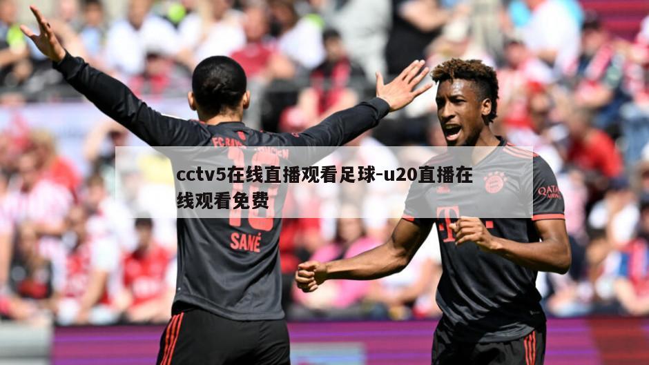cctv5在线直播观看足球-u20直播在线观看免费