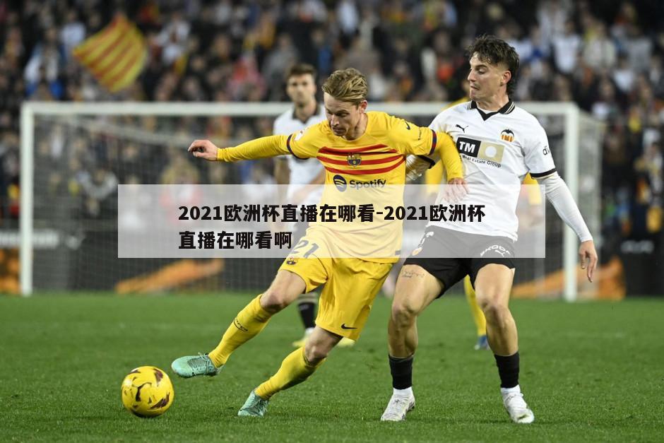 2021欧洲杯直播在哪看-2021欧洲杯直播在哪看啊
