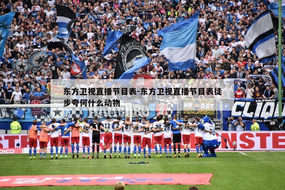 东方卫视直播节目表-东方卫视直播节目表徒步夸何什么动物