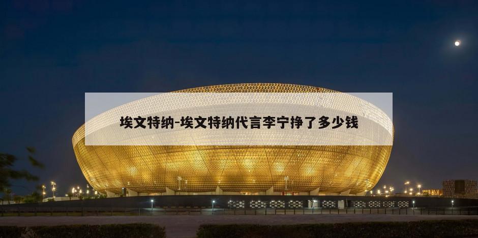 埃文特纳-埃文特纳代言李宁挣了多少钱
