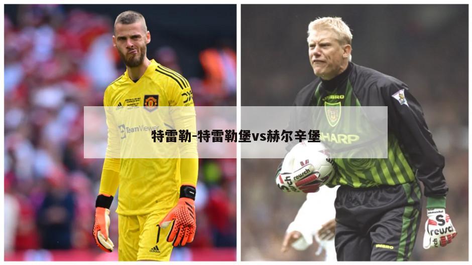 特雷勒-特雷勒堡vs赫尔辛堡