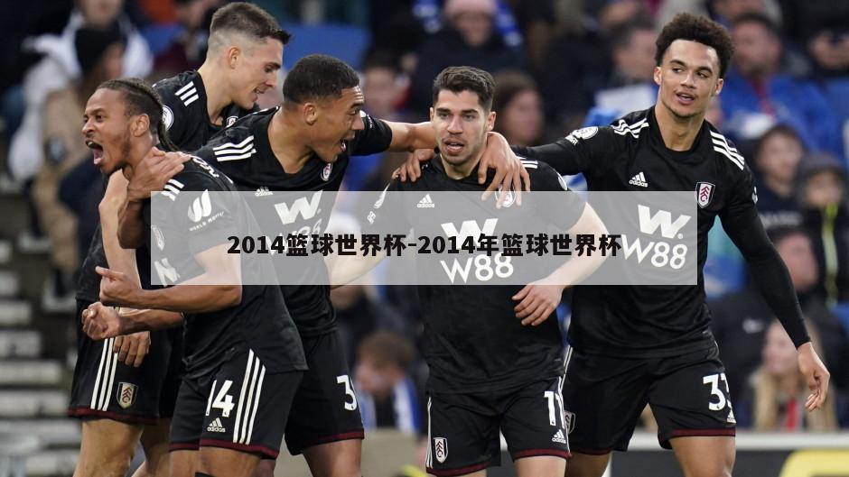 2014篮球世界杯-2014年篮球世界杯