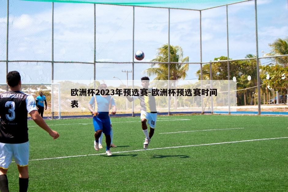 欧洲杯2023年预选赛-欧洲杯预选赛时间表