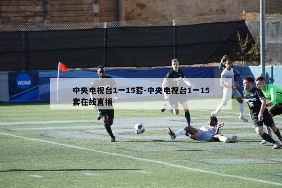 中央电视台1一15套-中央电视台1一15套在线直播