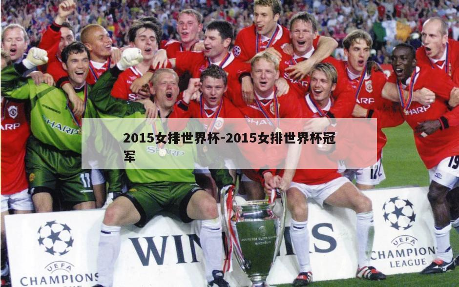 2015女排世界杯-2015女排世界杯冠军