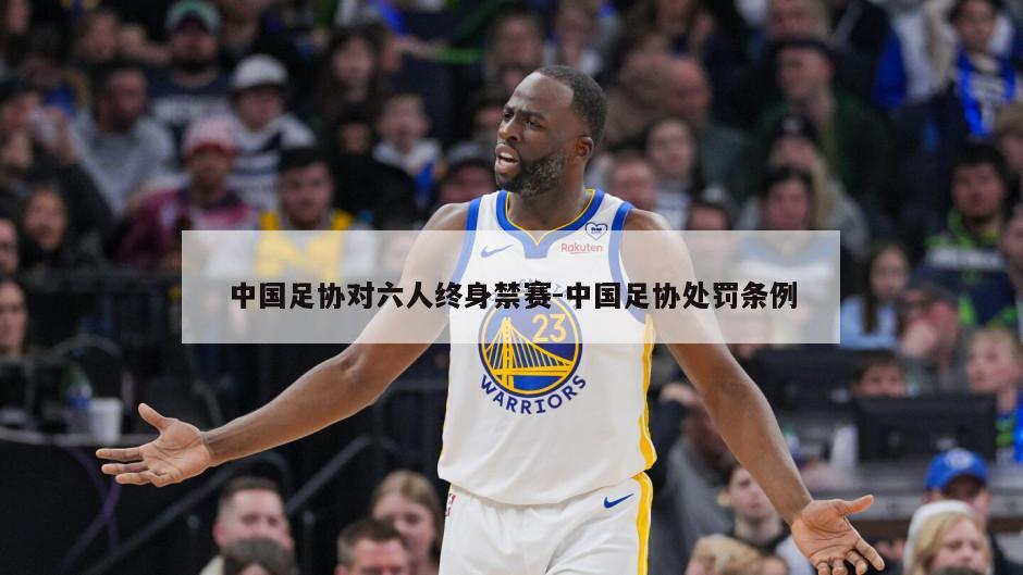 中国足协对六人终身禁赛-中国足协处罚条例