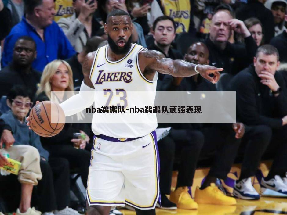 nba鹈鹕队-nba鹈鹕队顽强表现