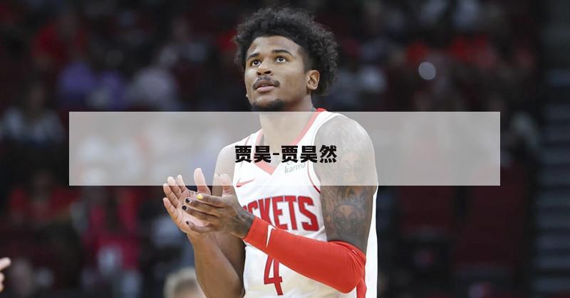 贾昊-贾昊然
