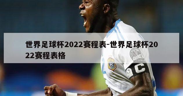 世界足球杯2022赛程表-世界足球杯2022赛程表格