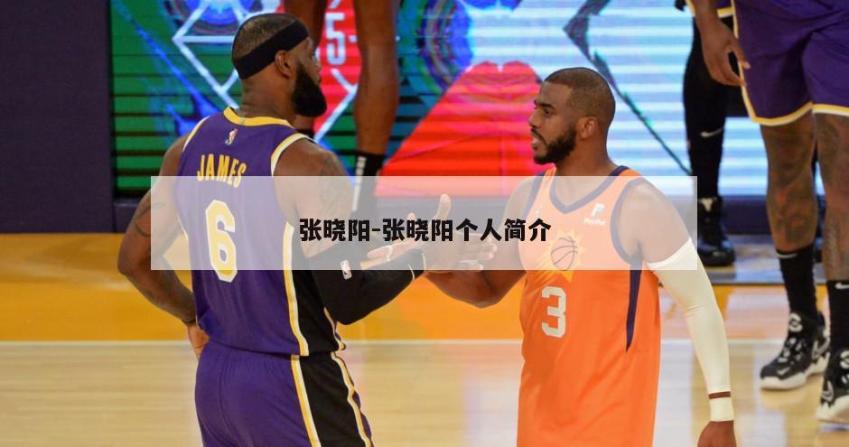 张晓阳-张晓阳个人简介