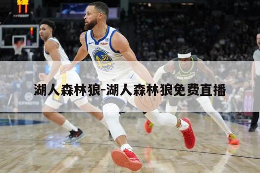 湖人森林狼-湖人森林狼免费直播