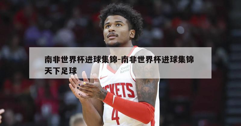 南非世界杯进球集锦-南非世界杯进球集锦 天下足球