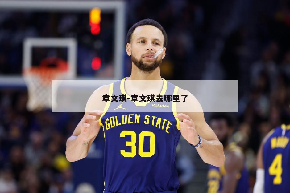 章文琪-章文琪去哪里了