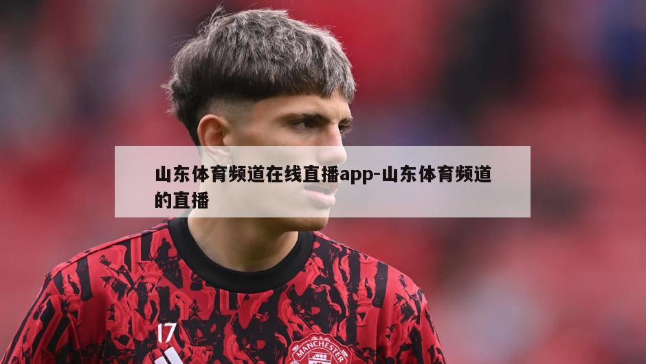 山东体育频道在线直播app-山东体育频道的直播