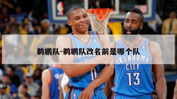 鹈鹕队-鹈鹕队改名前是哪个队