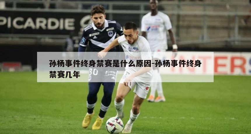 孙杨事件终身禁赛是什么原因-孙杨事件终身禁赛几年