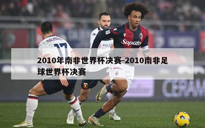 2010年南非世界杯决赛-2010南非足球世界杯决赛