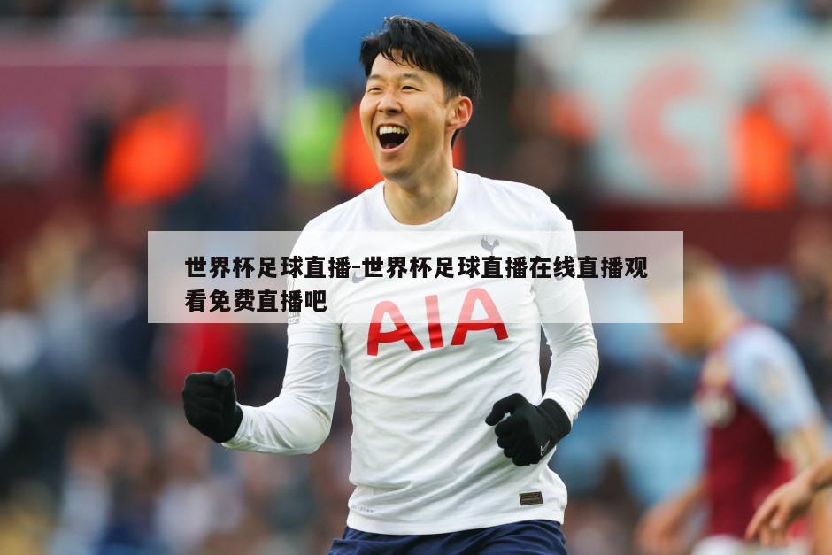 世界杯足球直播-世界杯足球直播在线直播观看免费直播吧