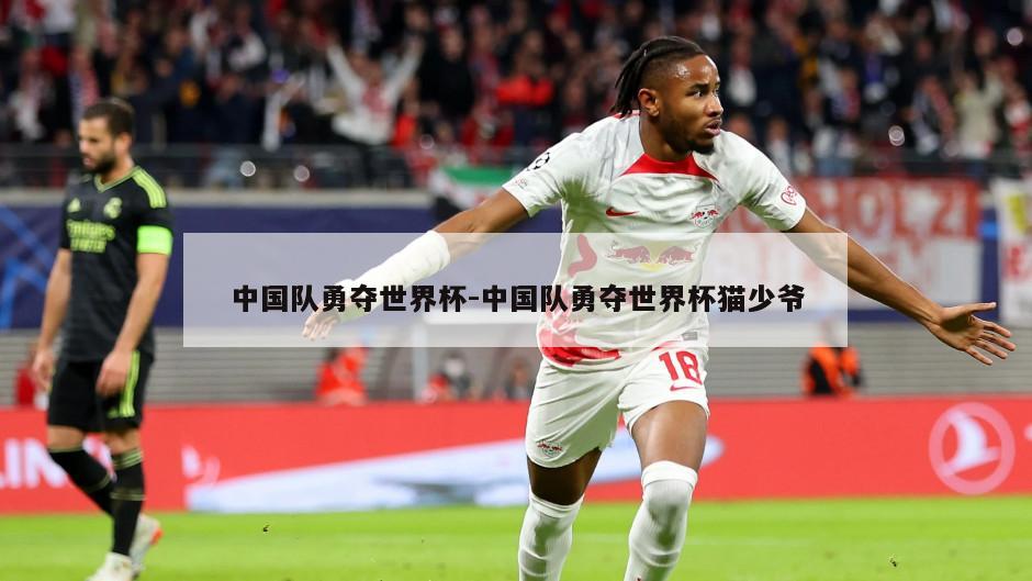 中国队勇夺世界杯-中国队勇夺世界杯猫少爷