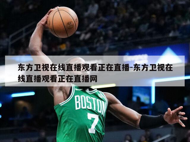 东方卫视在线直播观看正在直播-东方卫视在线直播观看正在直播网
