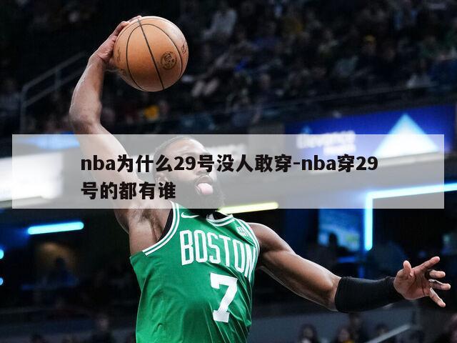 nba为什么29号没人敢穿-nba穿29号的都有谁