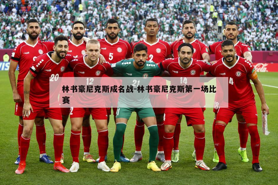 林书豪尼克斯成名战-林书豪尼克斯第一场比赛