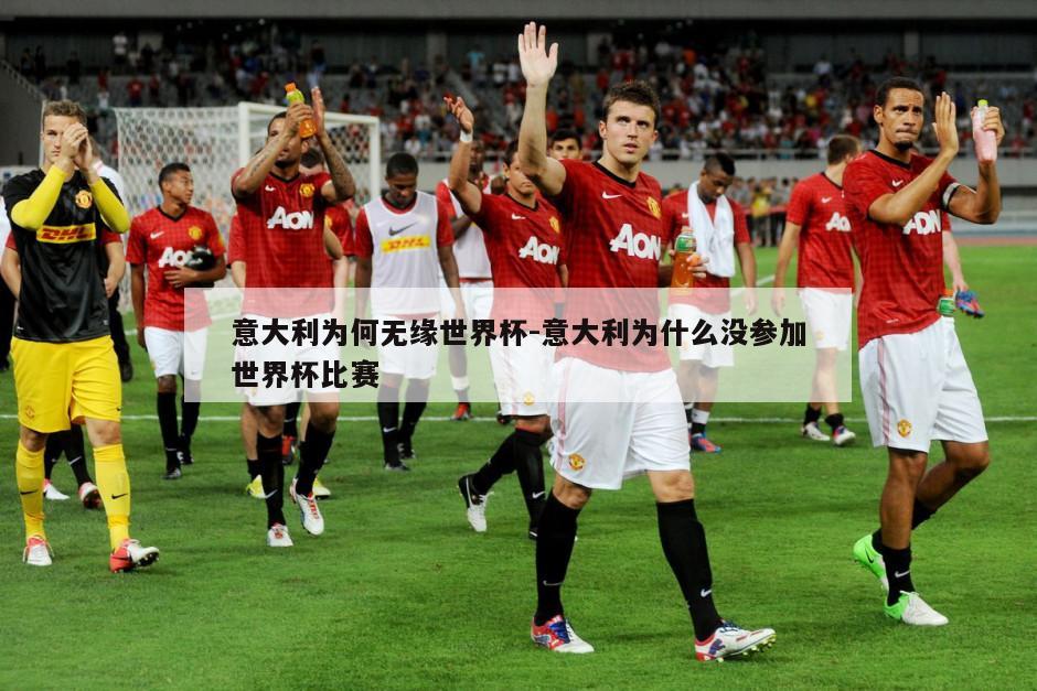 意大利为何无缘世界杯-意大利为什么没参加世界杯比赛