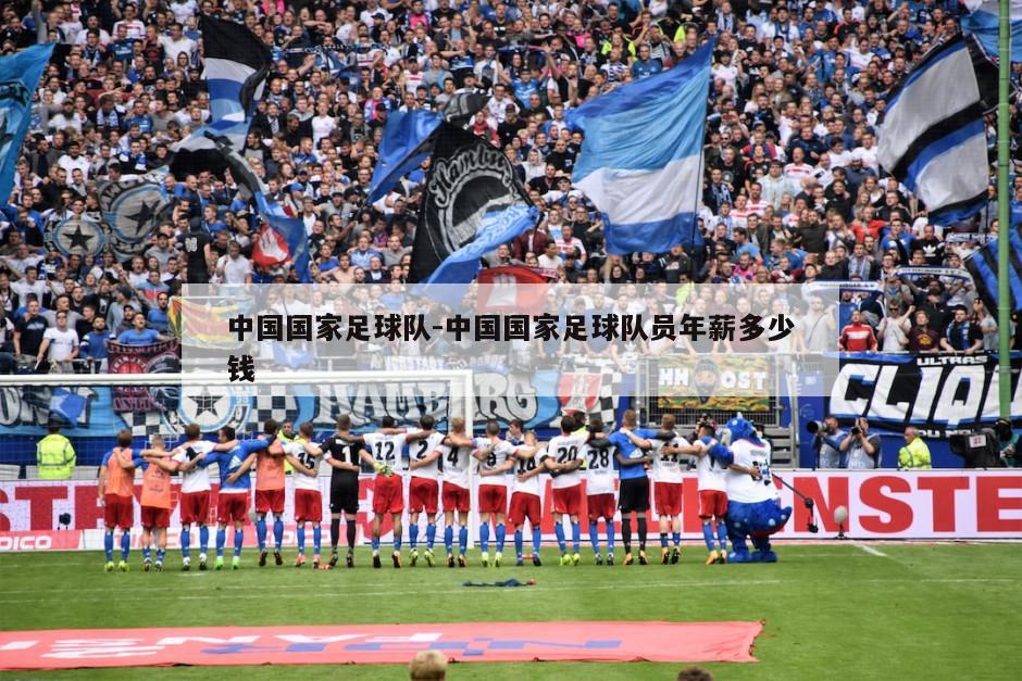 中国国家足球队-中国国家足球队员年薪多少钱