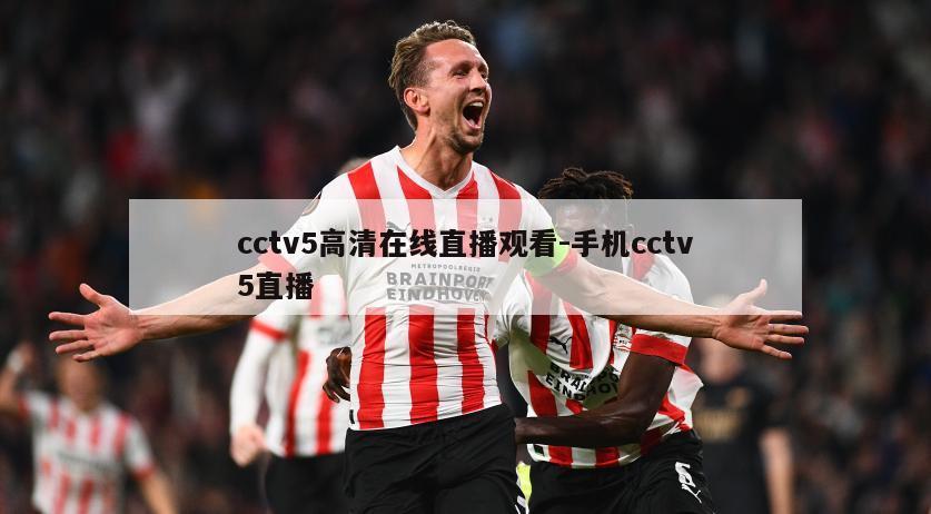 cctv5高清在线直播观看-手机cctv5直播