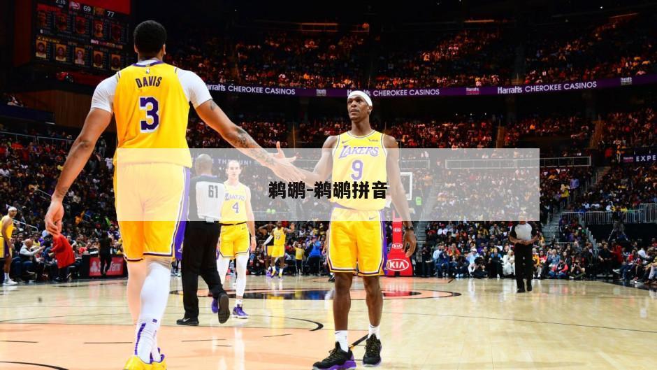 鹈鹕-鹈鹕拼音