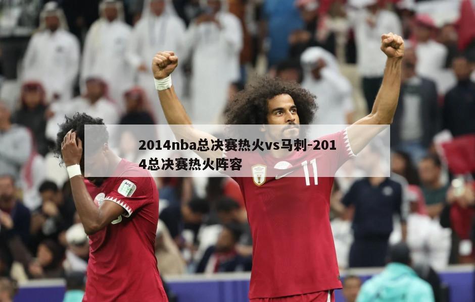 2014nba总决赛热火vs马刺-2014总决赛热火阵容
