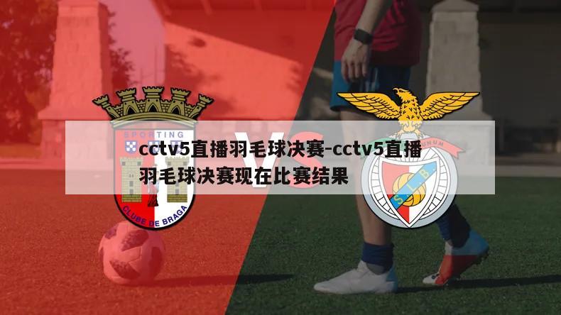 cctv5直播羽毛球决赛-cctv5直播羽毛球决赛现在比赛结果
