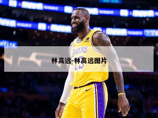 林高远-林高远图片