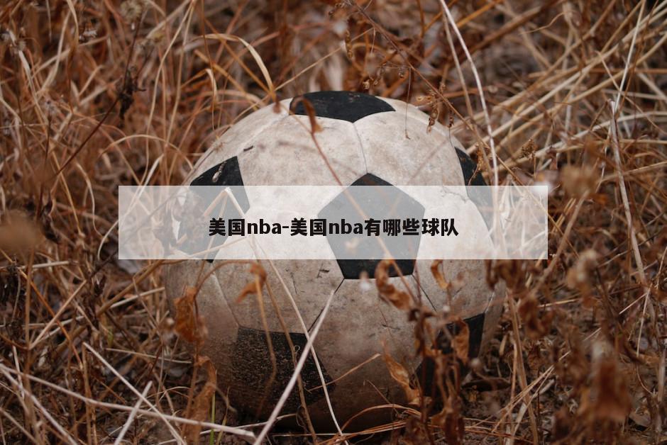美国nba-美国nba有哪些球队