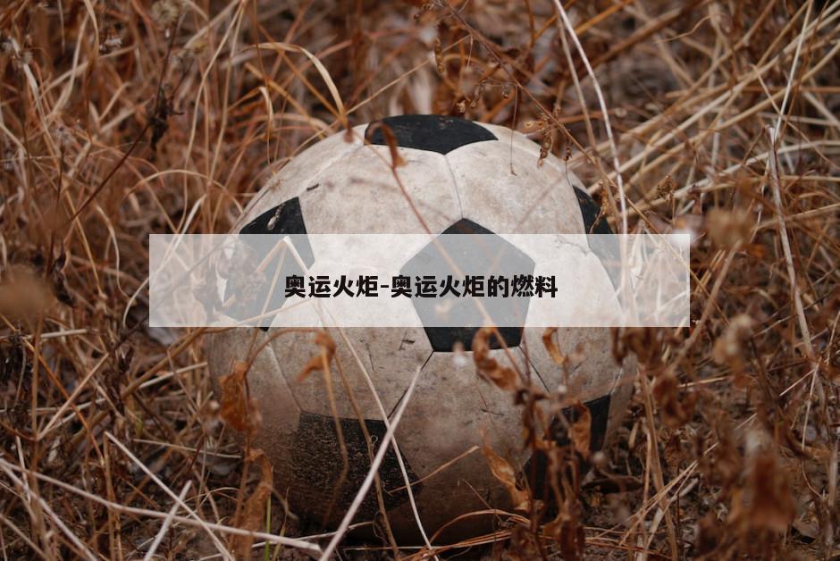 奥运火炬-奥运火炬的燃料