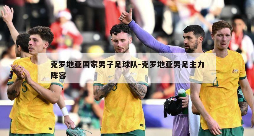 克罗地亚国家男子足球队-克罗地亚男足主力阵容